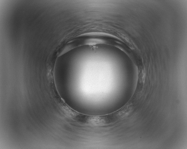 X0000071790521200607071459