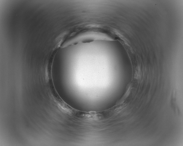 X0000071790524200607071459