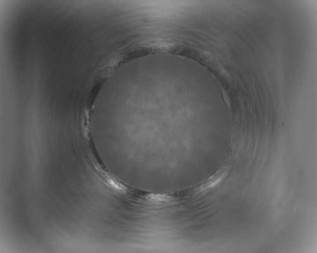 X0000071790528200607071459
