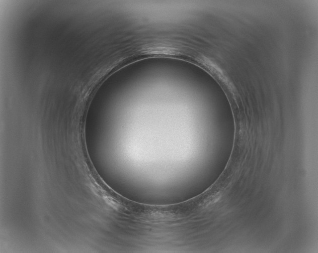 X0000071790529200607071458