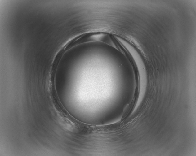 X0000071790532200607071458