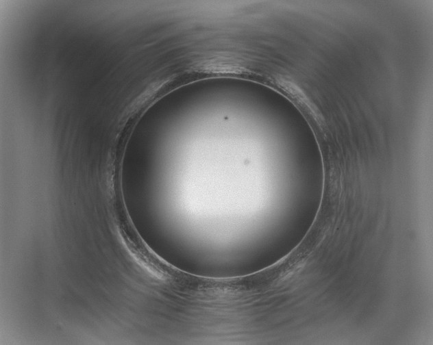 X0000071790533200607071458