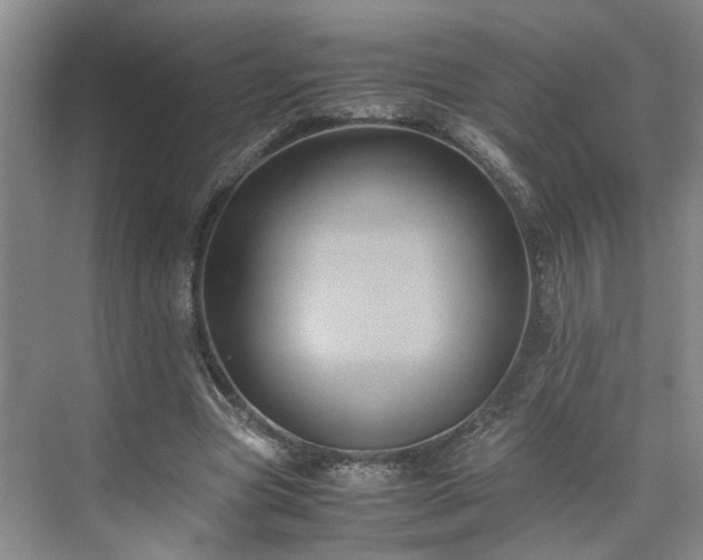 X0000071790537200607071458
