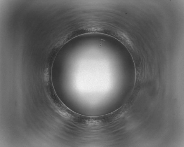 X0000071790549200607071458