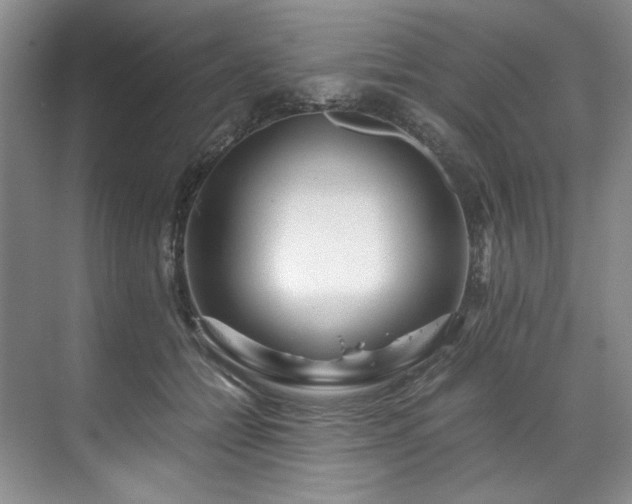 X0000071790558200607071458