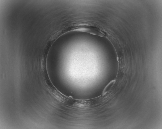 X0000071790563200607071458