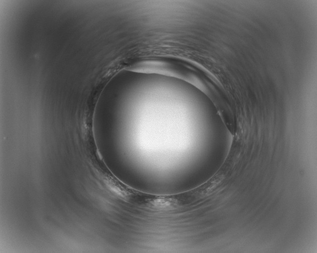 X0000071790566200607071458
