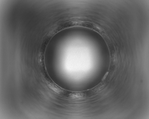 X0000071790567200607071458