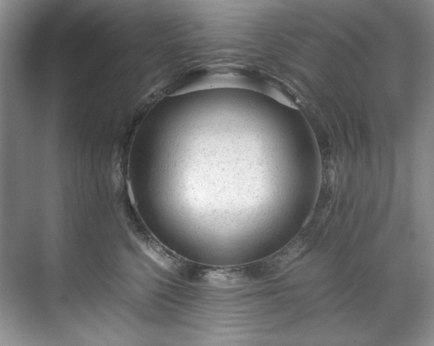 X0000071790568200607071458
