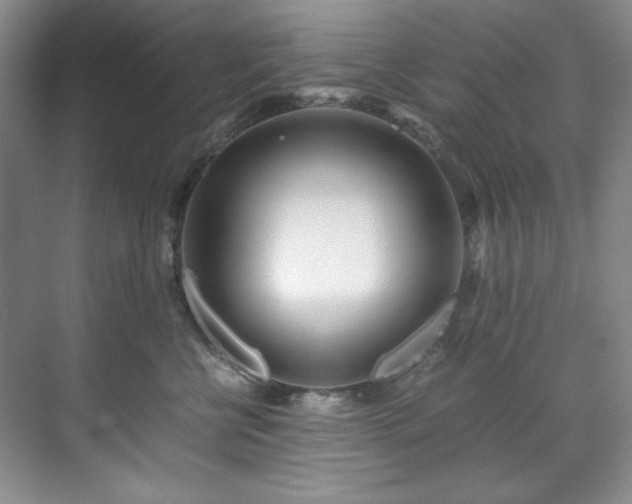 X0000071790570200607071458