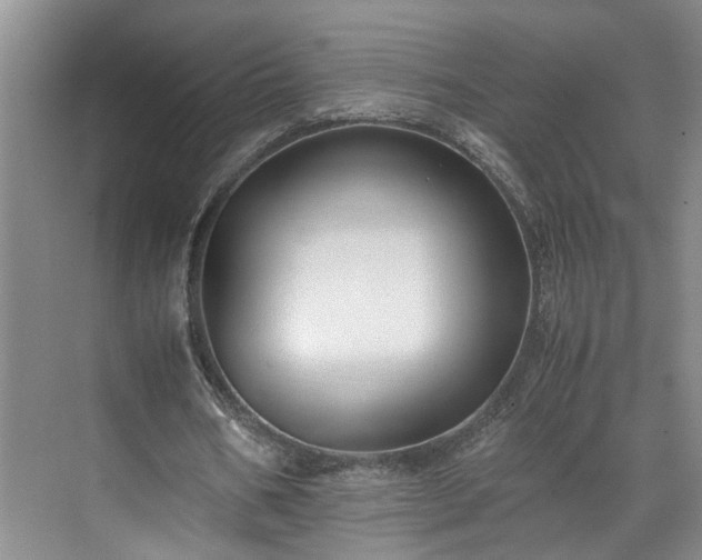 X0000071790578200607071458