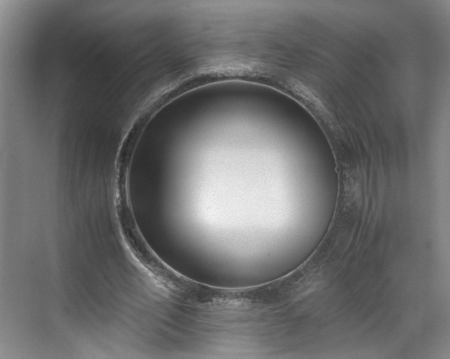 X0000071790582200607071458