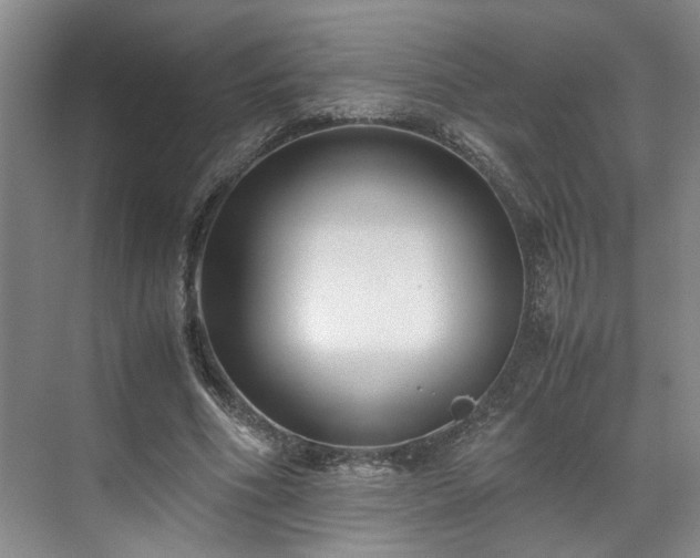 X0000071790586200607071458