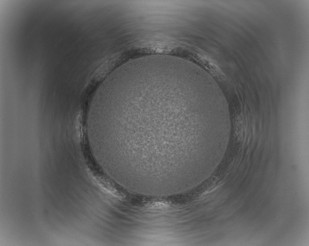X0000071790594200607071457