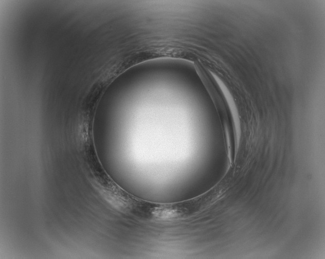 X0000071790602200607071457