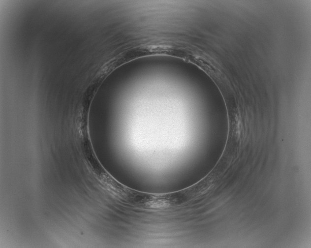 X0000071790604200607071457