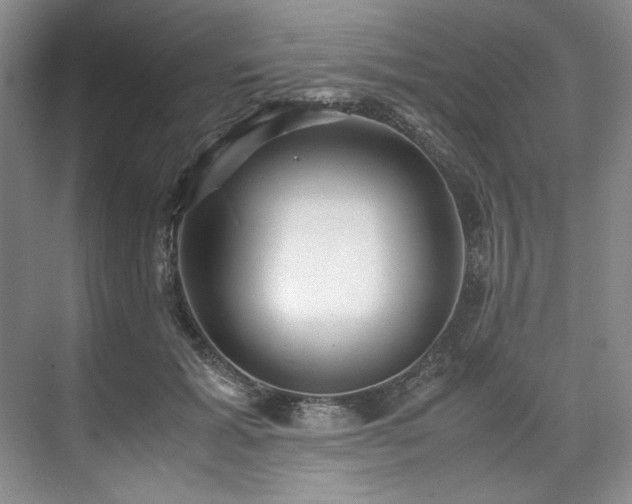 X0000071790605200607071457