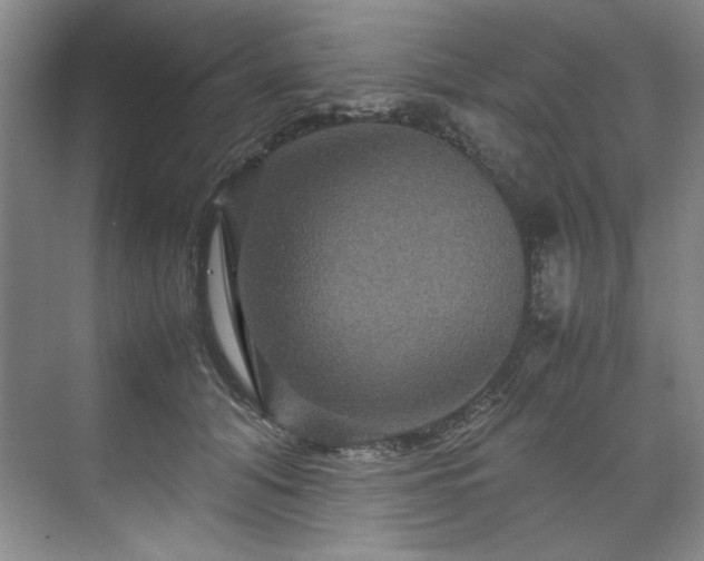 X0000071790608200607071457