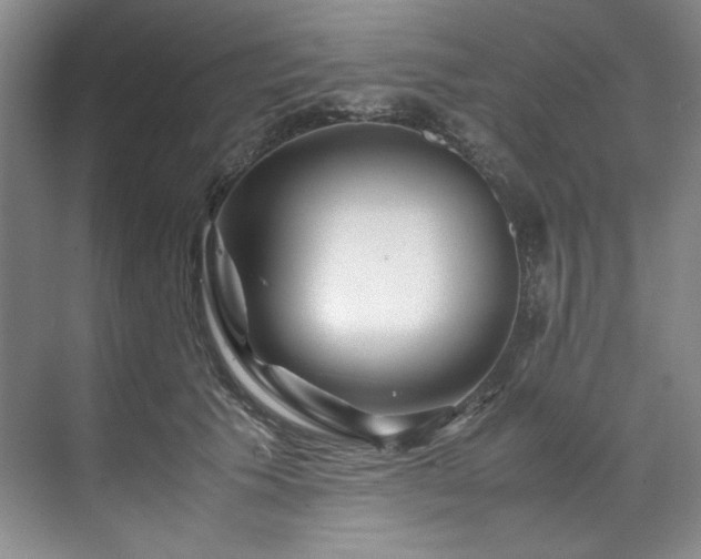 X0000071790609200607071457