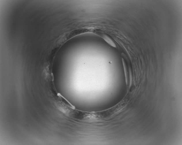 X0000071790611200607071457
