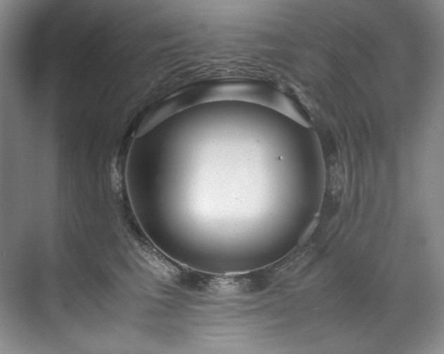 X0000071790613200607071457