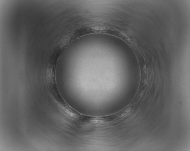 X0000071790614200607071457