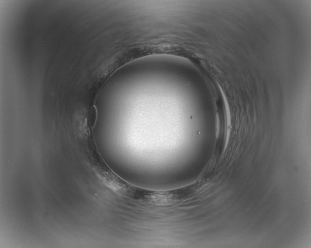 X0000071790615200607071457