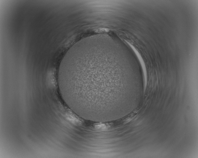 X0000071790616200607071457