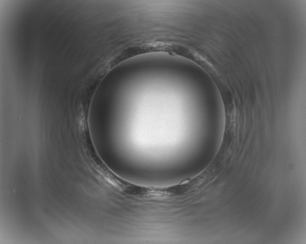 X0000071790617200607071457