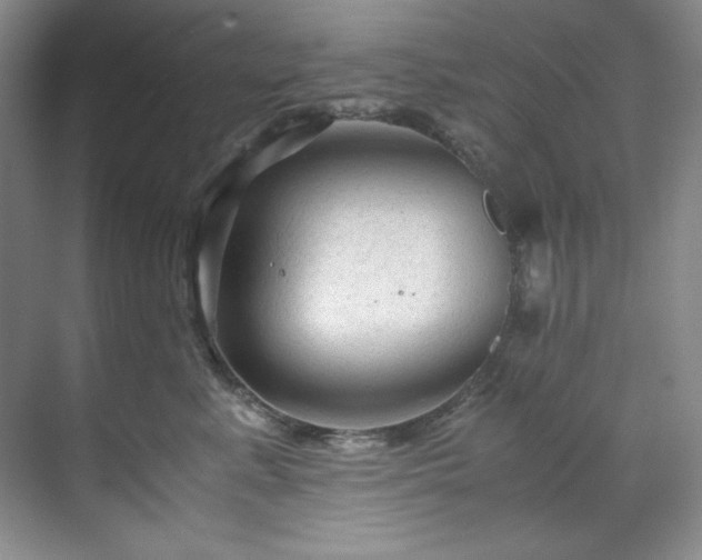 X0000071790619200607071457