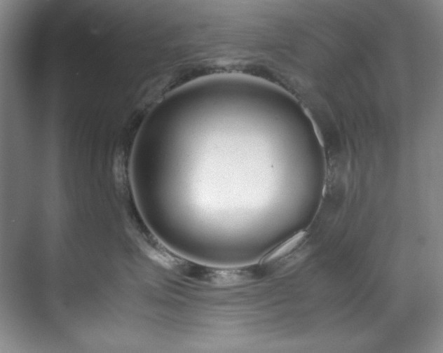 X0000071790623200607071457