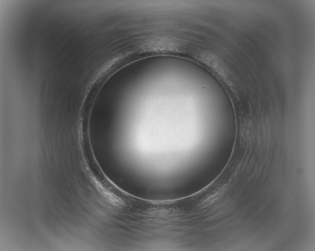 X0000071790629200607071456