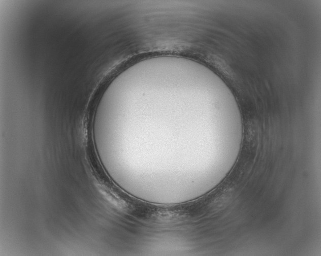 X0000071790632200607071456