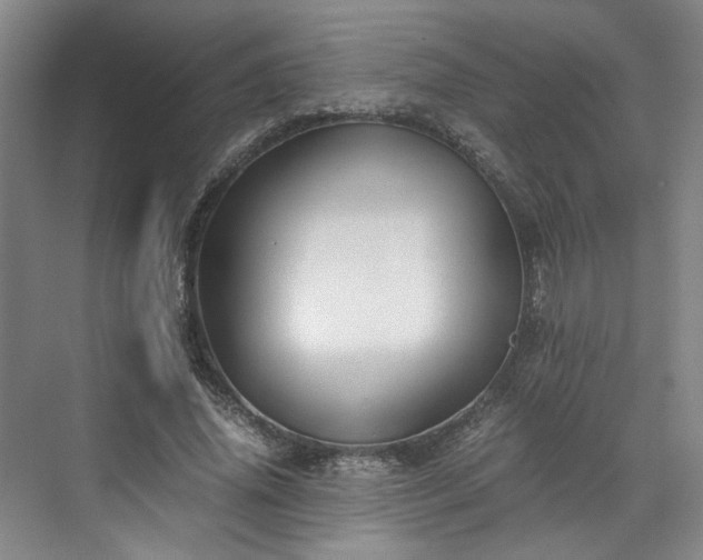 X0000071790636200607071456