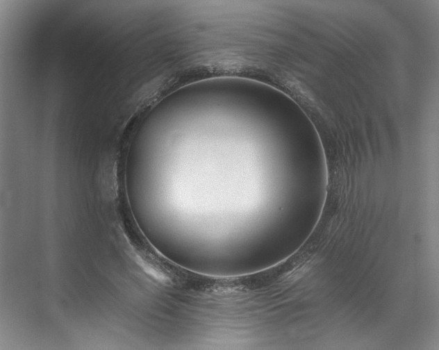 X0000071790638200607071456