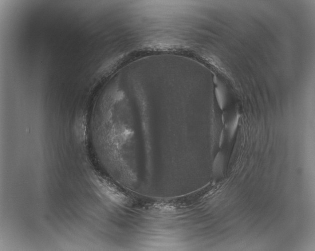 X0000071790640200607071456