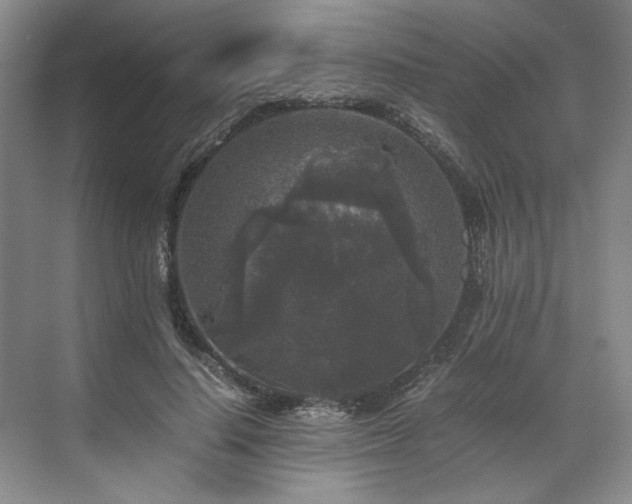 X0000071790644200607071456