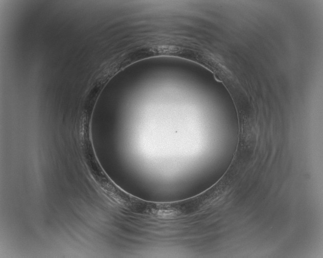 X0000071790645200607071457