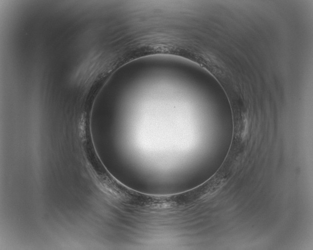 X0000071790646200607071457
