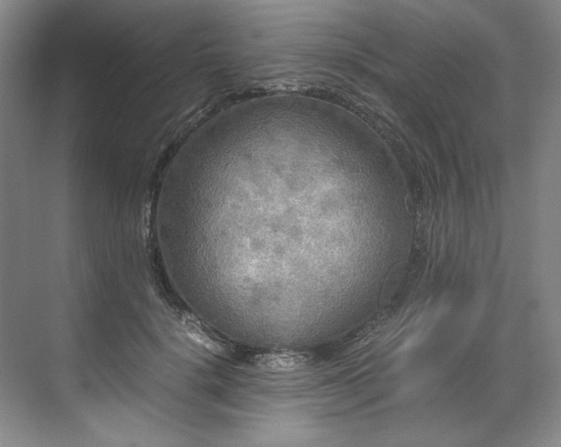 X0000071790652200607071457