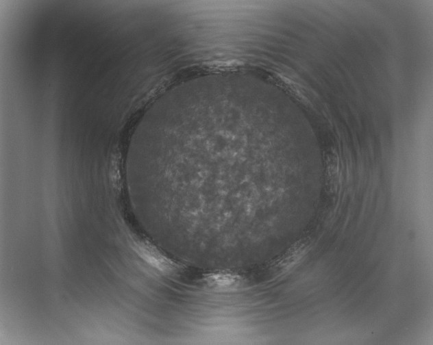 X0000071790654200607071457