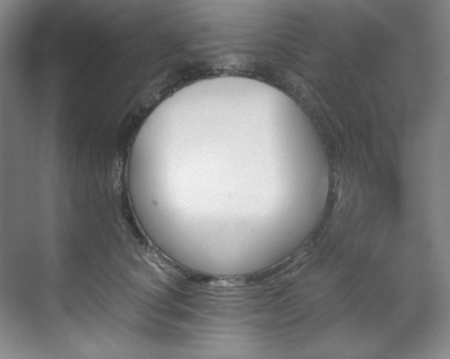 X0000071790660200607071457