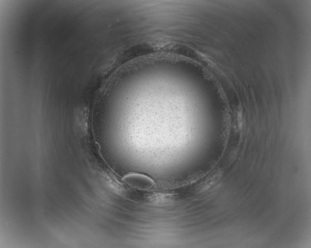 X0000071790664200607071457