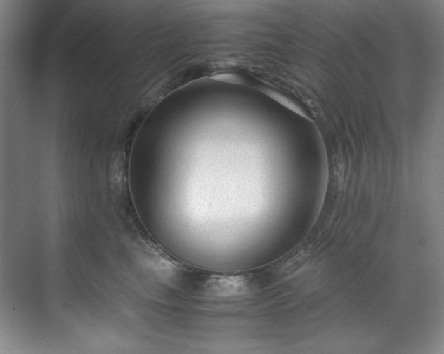 X0000071790665200607071457