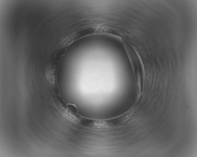 X0000071790666200607071457