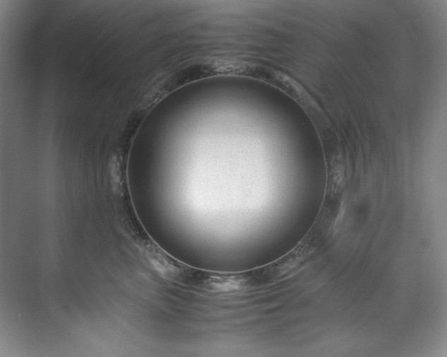 X0000071790667200607071457