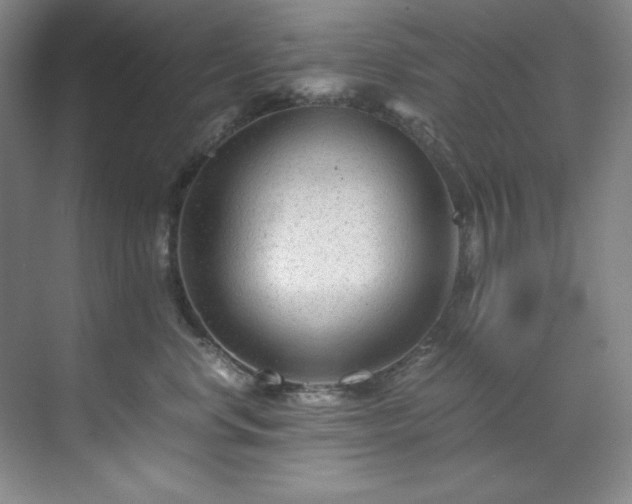 X0000071790668200607071457