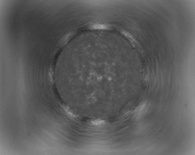 X0000071790669200607071457