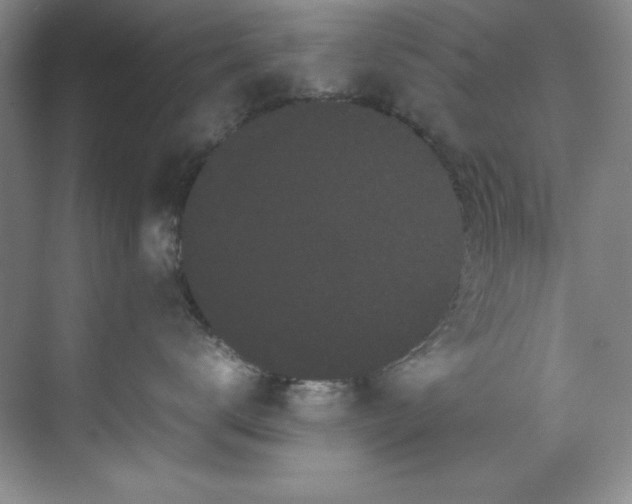 X0000071790672200607071457