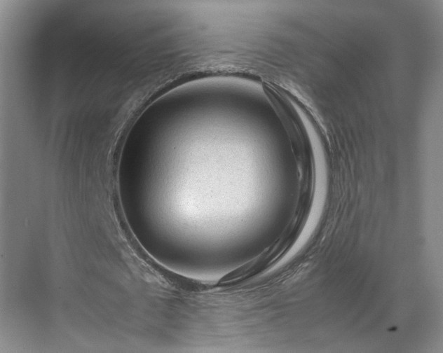 X0000071790673200607071456